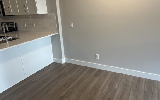 1-Bedroom Luxury Condo