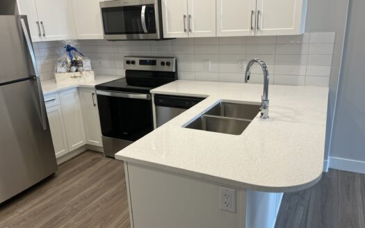 1-Bedroom Luxury Condo