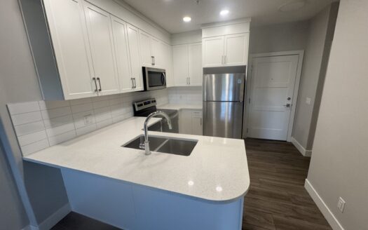 1 Bedroom Condo