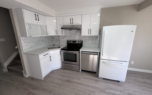 1 Bed Basement Suite