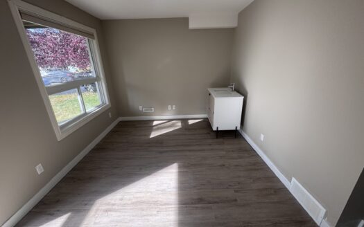 1 Bed Basement Suite
